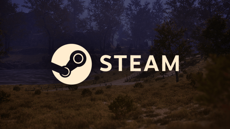 Steam Mağazamız Yayında!